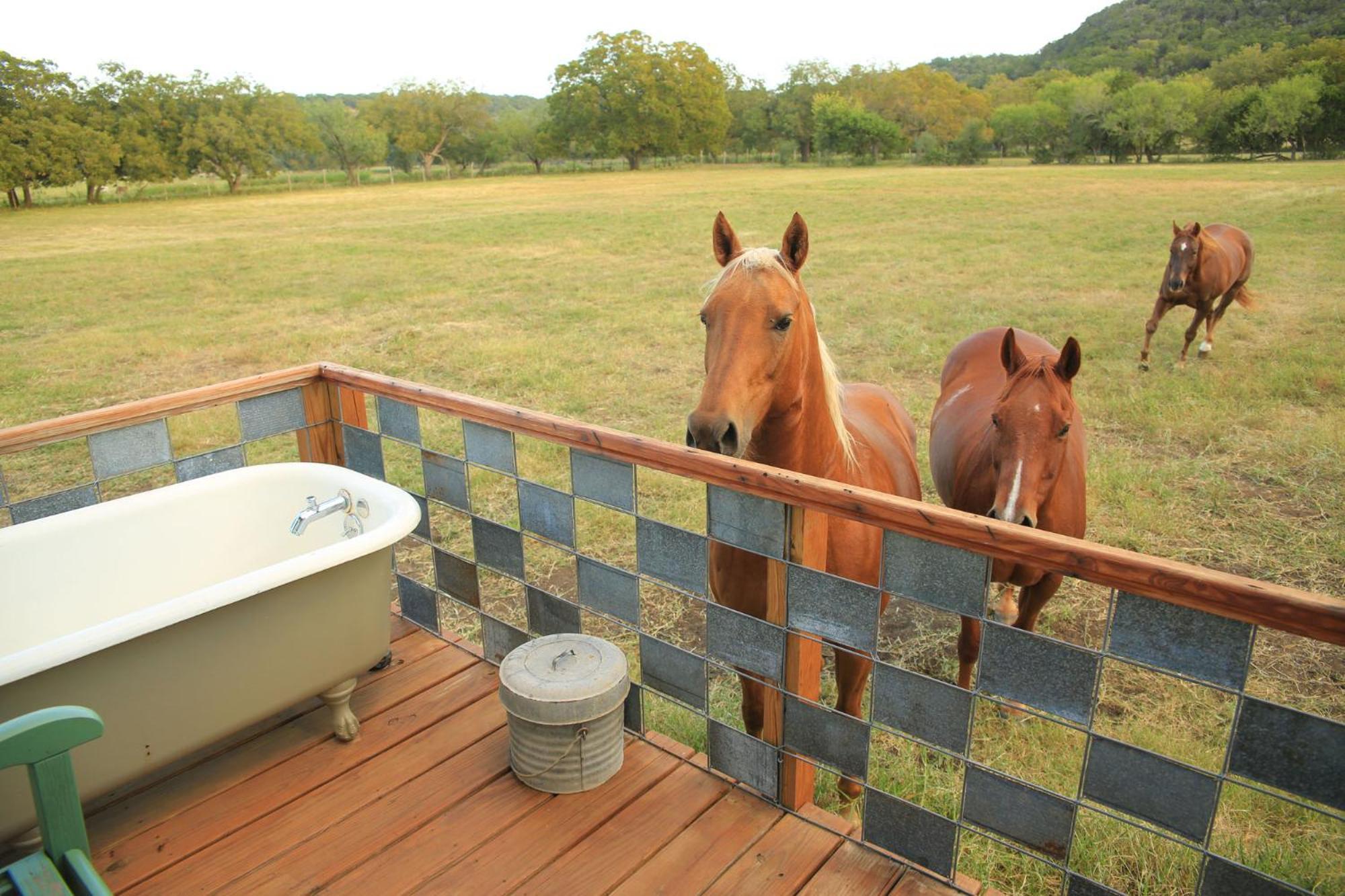 Вілла Montesino Ranch Lodging Вімберлі Екстер'єр фото